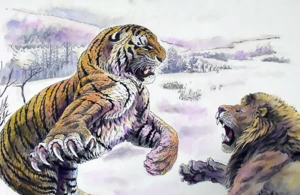 Unduh 76 Gambar Harimau Vs Terbaru 