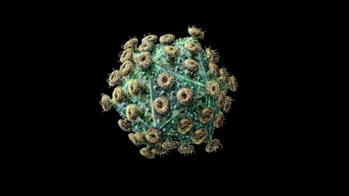Teka-teki Penyebaran HIV dalam Tubuh akhirnya Terpecahkan