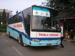 Tips Naik Bus Malam