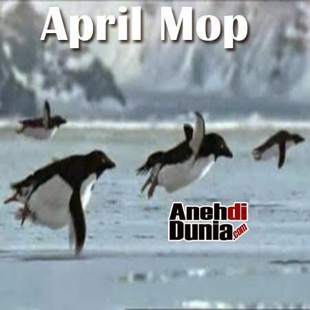 Lelucon April Mop Terhebat Yang Berhasil Membodohi Banyak Orang