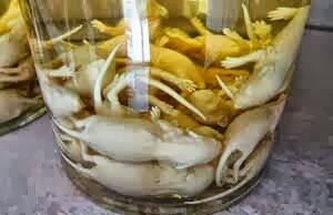 MINUMAN INI SANGAT UNIK...TAPI MENJIJIKAN DAN MEMATIKAN !