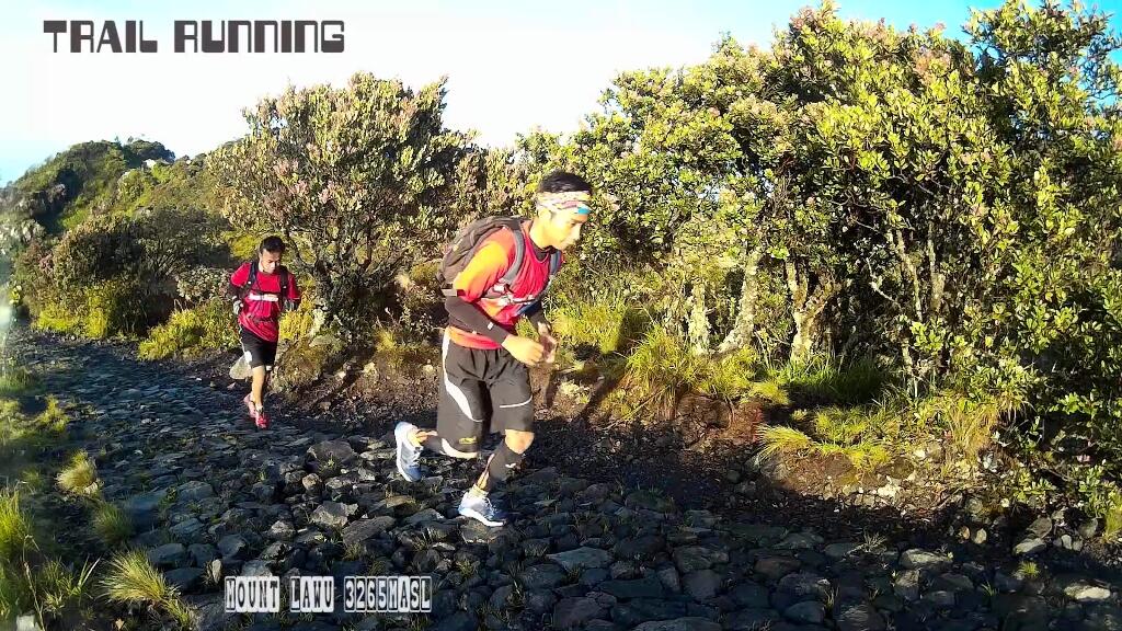 Manfaat Lari Trel (Trail Running/Mountain Running)