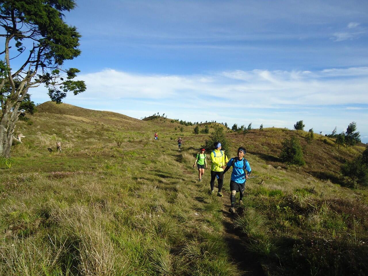 Manfaat Lari Trel (Trail Running/Mountain Running)