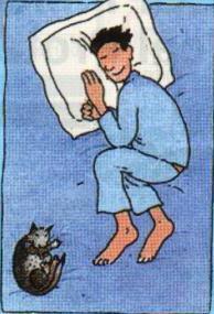 10 Sifat Manusia Berdasarkan Sifat Tidur