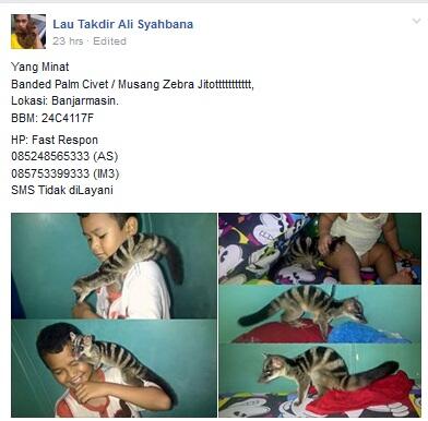 MIRIS. HEWAN-HEWAN YANG DILINDUNGI PEMERINTAH DIJUAL BEBAS DI MEDIA SOSIAL