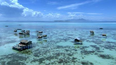 Fakta Unik Suku Bajau, Manusia Air