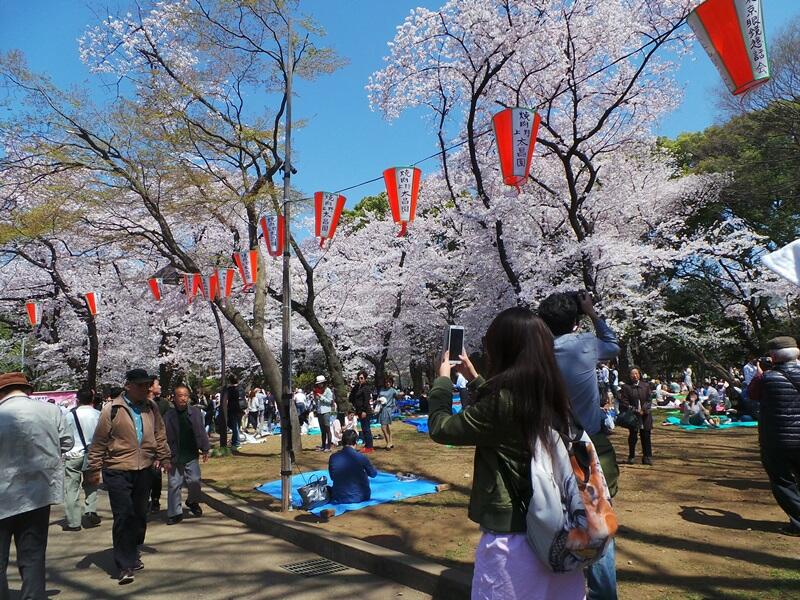 |FR| Solo Travel & Flash Travling 4D3N Jepang (Lowcost)