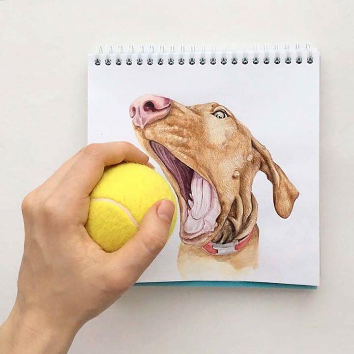 Lucunya Ilustrasi Anjing-Anjing Buatan Valerie Susik Ini