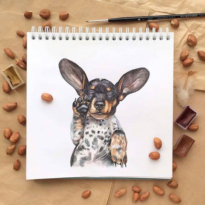 Lucunya Ilustrasi Anjing-Anjing Buatan Valerie Susik Ini
