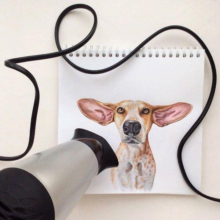 Lucunya Ilustrasi Anjing-Anjing Buatan Valerie Susik Ini
