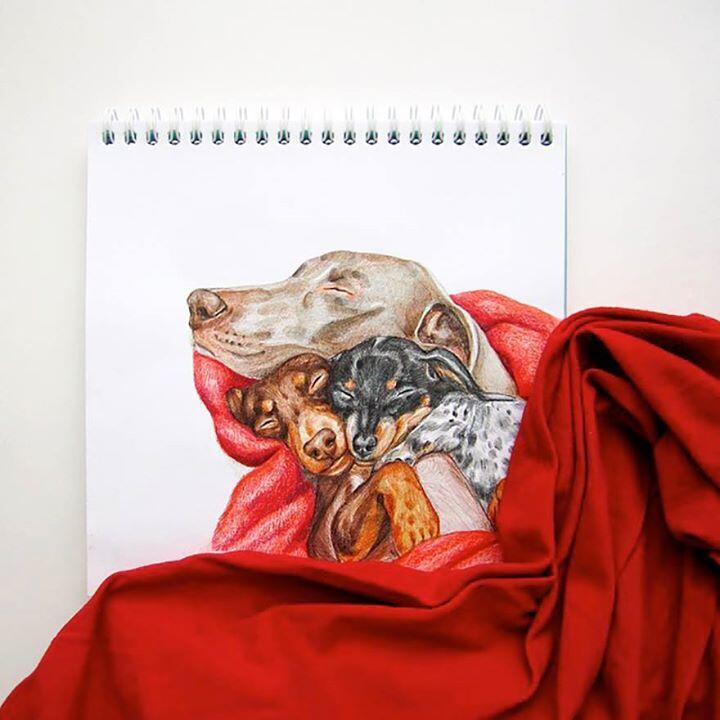 Lucunya Ilustrasi Anjing-Anjing Buatan Valerie Susik Ini