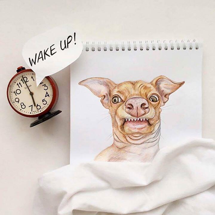 Lucunya Ilustrasi Anjing-Anjing Buatan Valerie Susik Ini