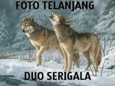 HOT !!! FOTO TELANJANG DUO SERIGALA BEREDAR. 