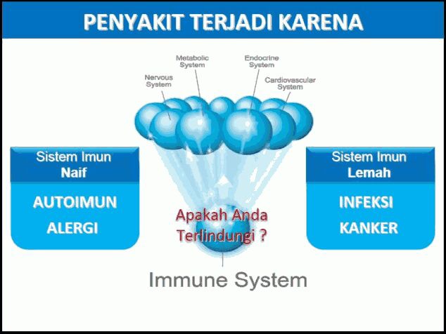 Jalan kaki lebih sehat dari pada berlari