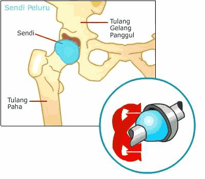 Jalan kaki lebih sehat dari pada berlari