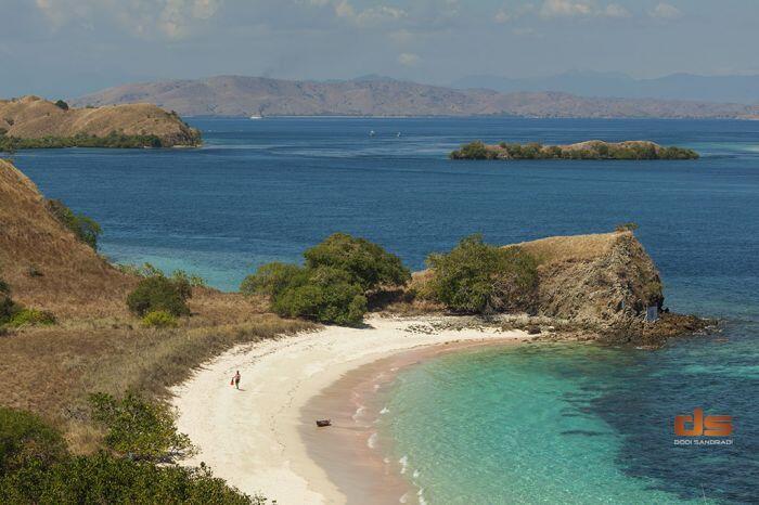 Hunting to Komodo Islands with Kemilau Indonesia 14-17 Mei 2015