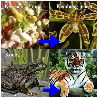 (Kembang Kobokan!)Bunga Tujuh Rupa Disiapkan untuk Pernikahan Anak Jokowi