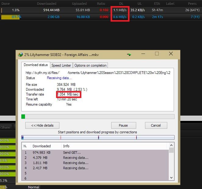 Jual Akun Leecher, Seedbox, ruTorrent Murah Meriah Kapsitas Gajah