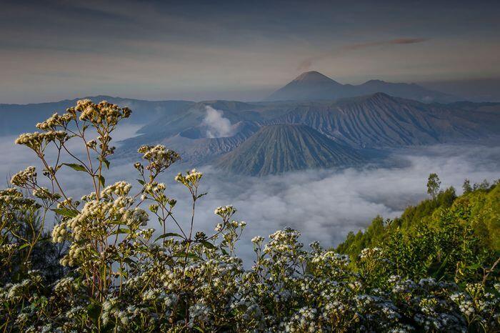Hunting to Bromo 15-17 Mei 2015 with Kemilau Indonesia