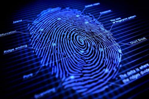 Mengenal Lebih Dekat Fingerprint
