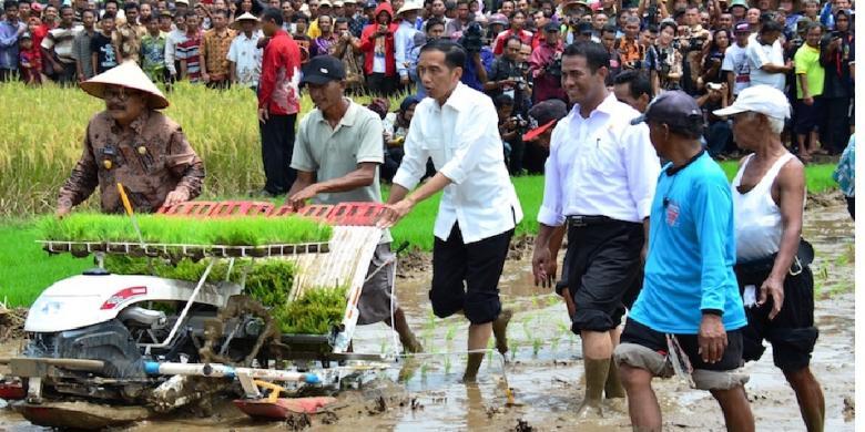 Jokowi Rela Popularitas Turun Demi Menekan Impor Beras