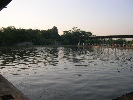 &#91;Thread Seger&#93; Agan punya tanah kosong?yuk intip solusi penggunaannya.