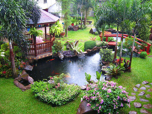 &#91;Thread Seger&#93; Agan punya tanah kosong?yuk intip solusi penggunaannya.
