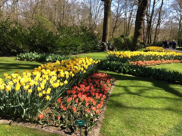 Kebun Bunga Termegah Di Dunia Keukenhof Holland Kebun bunga terbesar dan terindah di 