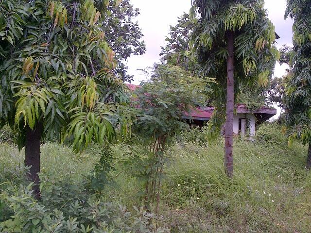 Pabrik TEXIN Tegal.. Riwayatmu Kini..