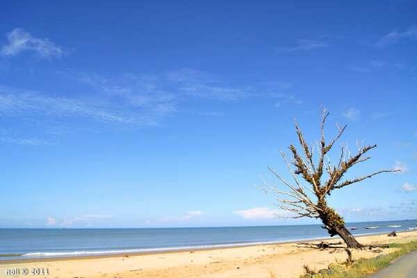 Objek wisata bagus yang bisa dan patut kamu datangi ketika di kalimantan