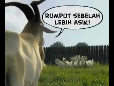 sawang sinawang, apakah itu?