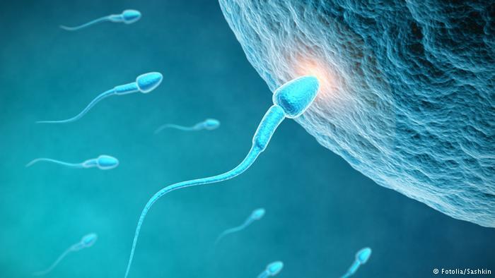 8 Fakta Mengejutkan Tentang Penis