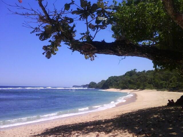 &#91;CATPER&#93; Pantai Pasir Panjang Ngliyep, Malang Jawa-Timur
