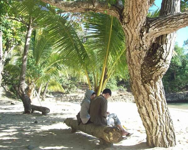 &#91;CATPER&#93; Pantai Pasir Panjang Ngliyep, Malang Jawa-Timur