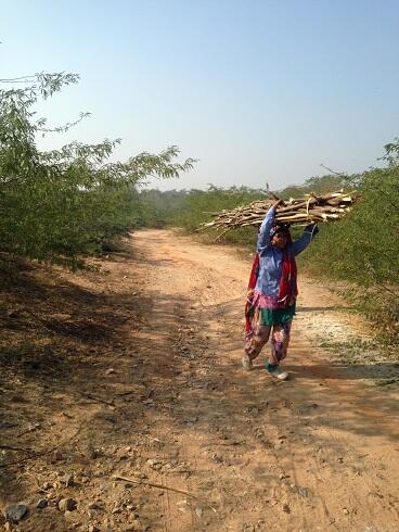 &#91;PICS&#93; City of Djinns (Kota Para Djin, dan dedemit laennya) -- Delhi