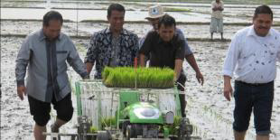 &#91; Kabar Gembira &#93; Pemerintah Gelontorkan Rp1,14 Triliun untuk Pertanian Sumut..