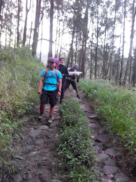 Diatas 3339 Mdpl