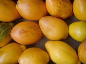 Khasiat buah buhan yang sering kita jumpai