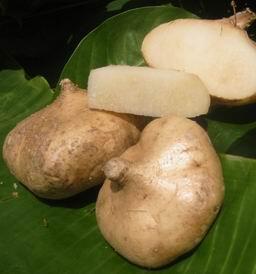 Khasiat buah buhan yang sering kita jumpai