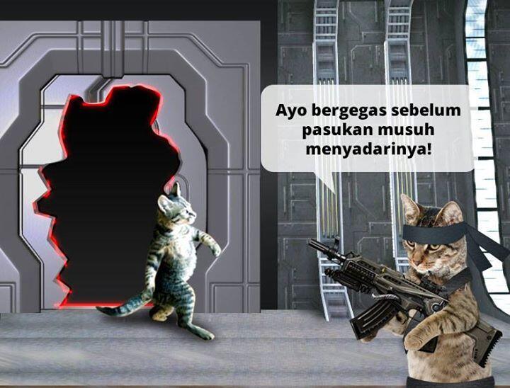 Khusus Yang Suka Banget Sama 'Kucing' &#91;&#91; Adult Area &#93;&#93;