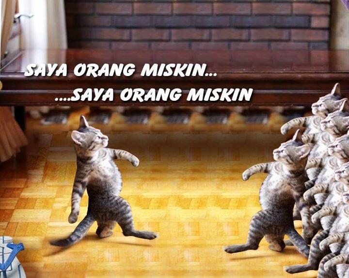 Khusus Yang Suka Banget Sama 'Kucing' &#91;&#91; Adult Area &#93;&#93;