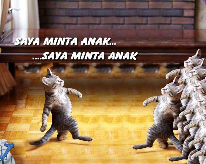 Khusus Yang Suka Banget Sama 'Kucing' &#91;&#91; Adult Area &#93;&#93;