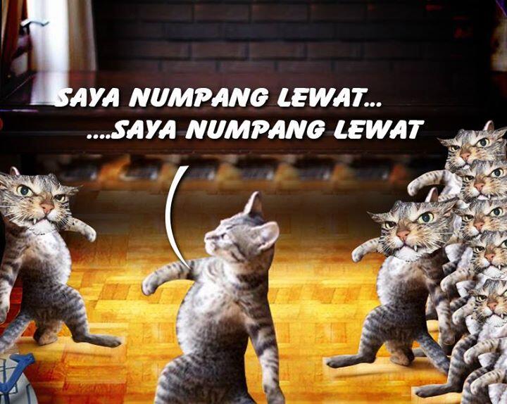 Khusus Yang Suka Banget Sama 'Kucing' &#91;&#91; Adult Area &#93;&#93;