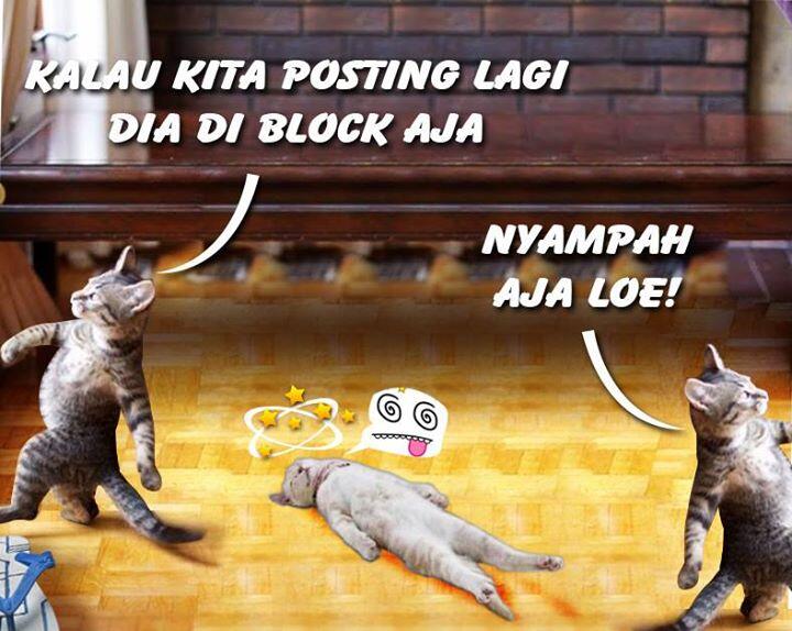 Khusus Yang Suka Banget Sama 'Kucing' &#91;&#91; Adult Area &#93;&#93;