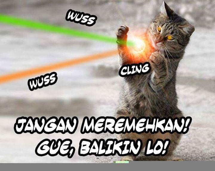 Khusus Yang Suka Banget Sama 'Kucing' &#91;&#91; Adult Area &#93;&#93;