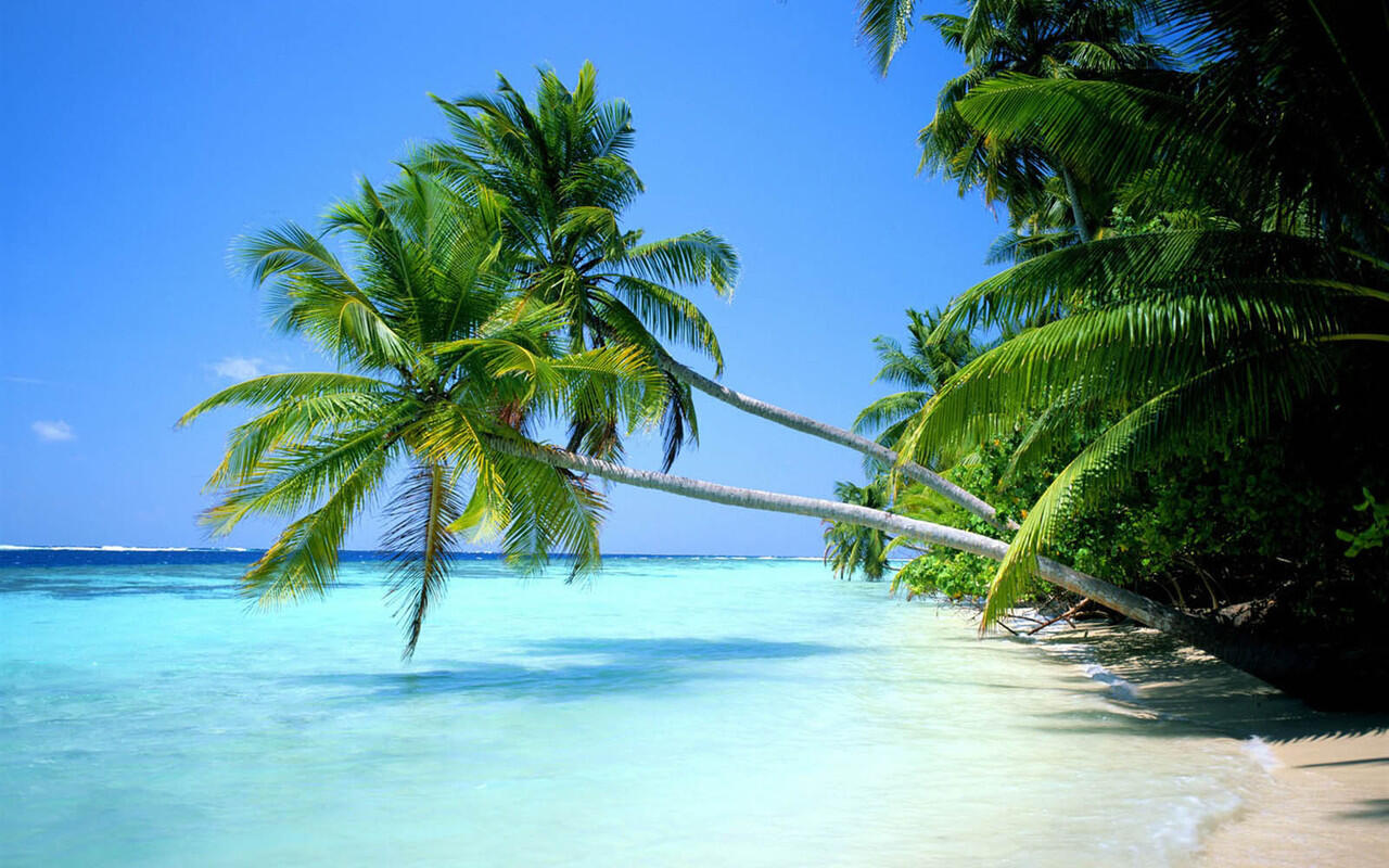9 Alasan Kenapa Pantai Adalah Destinasi yang Selalu Ingin Kita Kunjungi Lagi