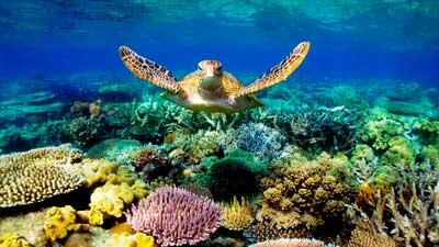 9 Alasan Kenapa Pantai Adalah Destinasi yang Selalu Ingin Kita Kunjungi Lagi
