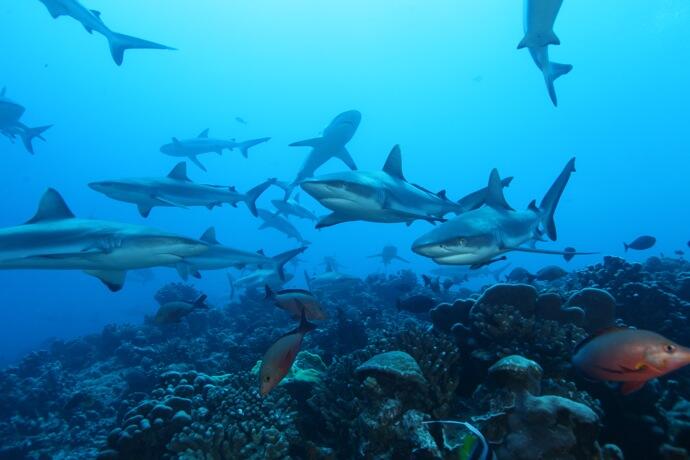 7 Pulau Tercantik di Dunia