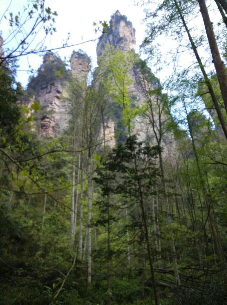 Solo backpacker 4D3N tamam nasional zhang jia jie