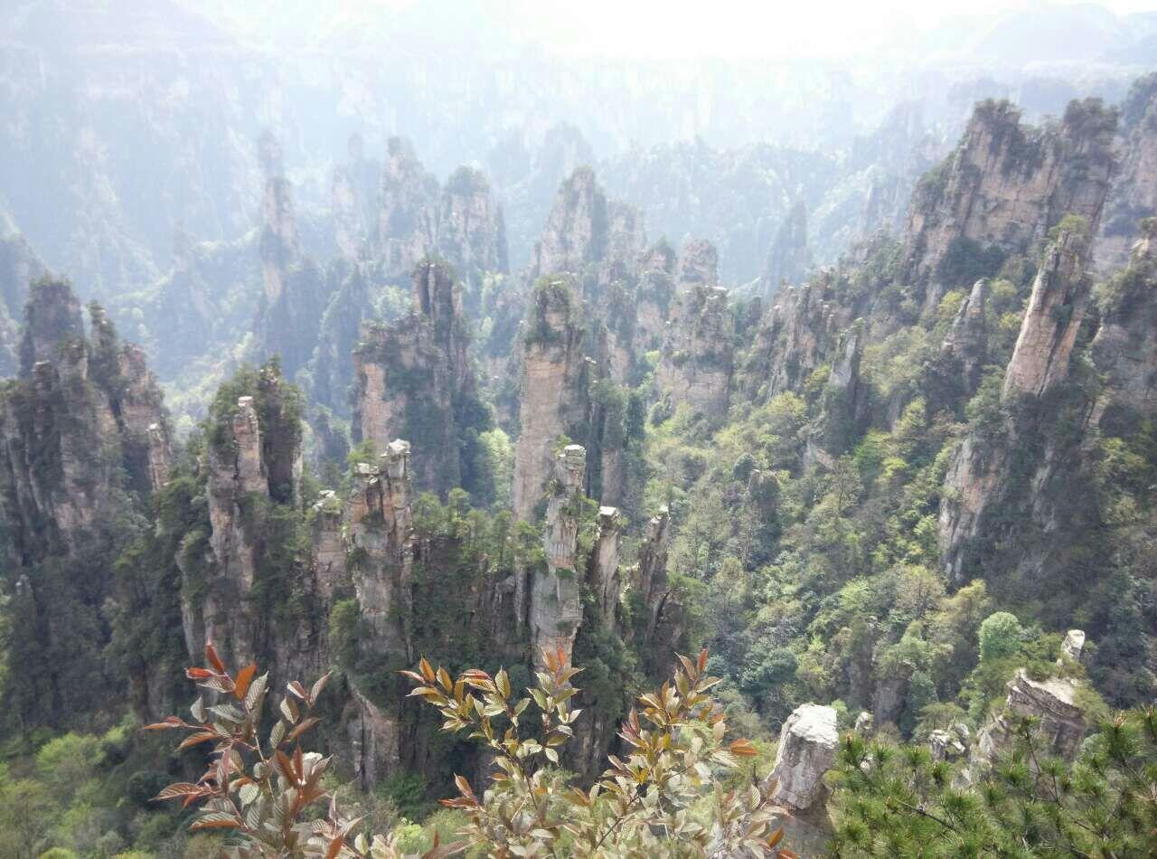 Solo backpacker 4D3N tamam nasional zhang jia jie